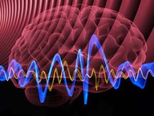 Gamma Frequency –&nbsp;Upcoming